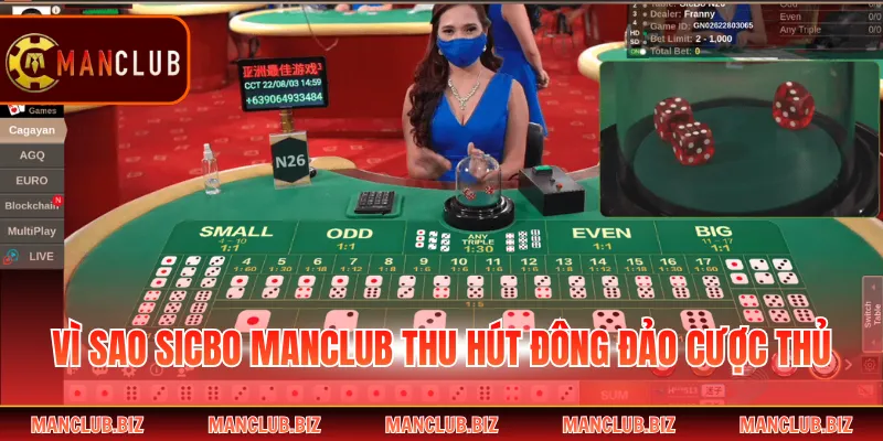 Vì sao Sicbo Manclub thu hút đông đảo cược thủ